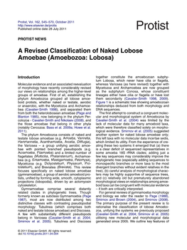 A Revised Classification of Naked Lobose Amoebae (Amoebozoa