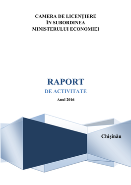 Raport De Activitate