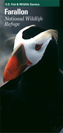 Farallon Islands and Noon Day Rock, Supports the Largest Seabird Nesting Colony South of Alaska