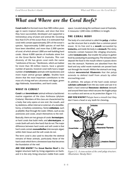 What and Where Are the Coral Reefs?