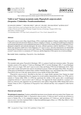 Yunnan Mountain Snake Plagiopholis Unipostocularis (Serpentes: Colubridae: Pseudoxenodontinae)