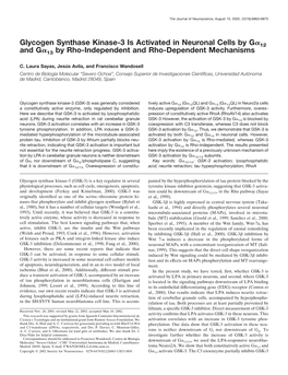 Glycogen Synthase Kinase-3 Is Activated in Neuronal Cells by G 12