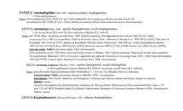 FAMILY Anomalopidae Gill, 1889 - Lanterneyefishes, Flashlightfishes [=Heterophthalminae] Notes: Heterophthalminae Gill, 1862K:237 [Ref