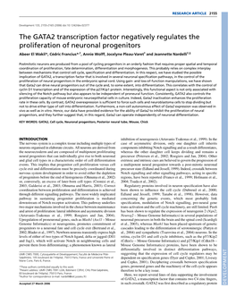 The GATA2 Transcription Factor Negatively Regulates the Proliferation of Neuronal Progenitors