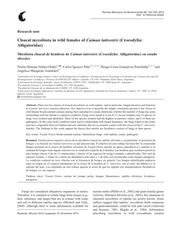 Cloacal Mycobiota in Wild Females of Caiman Latirostris (Crocodylia: Alligatoridae)