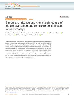 Genomic Landscape and Clonal Architecture of Mouse Oral Squamous Cell Carcinomas Dictate Tumour Ecology