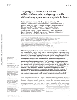 Targeting Iron Homeostasis Induces Cellular Differentiation and Synergizes with Differentiating Agents in Acute Myeloid Leukemia