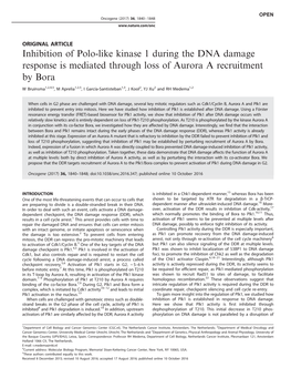 Inhibition of Polo-Like Kinase 1 During the DNA Damage Response Is Mediated Through Loss of Aurora a Recruitment by Bora