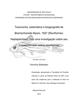 Taxonomia, Sistemática E Biogeografia De Brachyrhamdia Myers, 1927 (Siluriformes: Heptapteridae), Com Uma Investigação Sobre Seu Mimetismo Com Outros Siluriformes