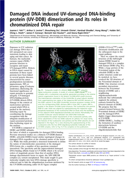 (UV-DDB) Dimerization and Its Roles in Chromatinized DNA Repair