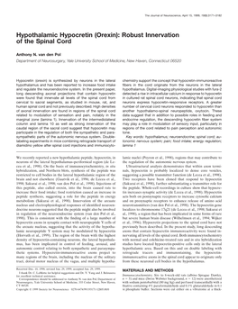 Hypothalamic Hypocretin (Orexin): Robust Innervation of the Spinal Cord