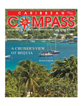A Cruiser's View of Bequia