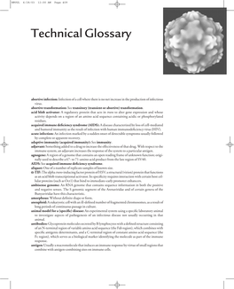 Technical Glossary