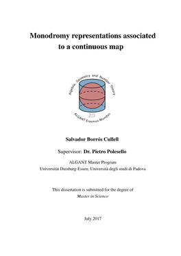 Monodromy Representations Associated to a Continuous Map