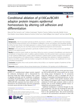 Conditional Ablation of P130cas/BCAR1 Adaptor Protein