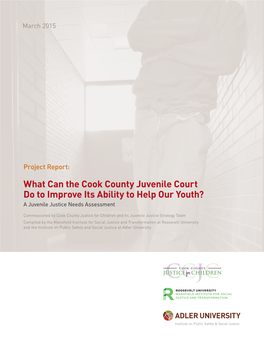 What Can the Cook County Juvenile Court Do to Improve Its Ability to Help Our Youth? a Juvenile Justice Needs Assessment