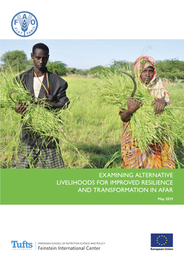 Examining Alternative Livelihoods for Improved Resilience and Transformation in Afar