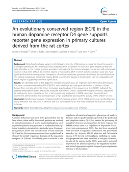 An Evolutionary Conserved Region (ECR) in the Human Dopamine Receptor D4 Gene Supports Reporter Gene Expression in Primary Cultu