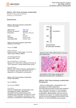 PRKCQ / PKC-Theta Antibody (Aa640-690) Rabbit Polyclonal Antibody Catalog # ALS16240