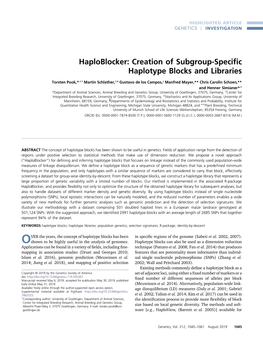 Creation of Subgroup-Specific Haplotype Blocks and Libraries