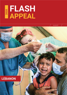 Lebanon Flash Appeal