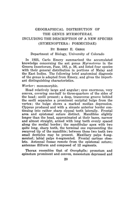 Geographical Distribution of the Genus Myrmoteras, Including the Description of a New Species (Hymenoptera Formicidae) by Robert E