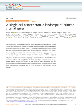 A Single-Cell Transcriptomic Landscape of Primate Arterial Aging