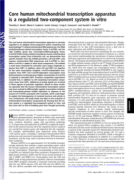 Core Human Mitochondrial Transcription Apparatus Is a Regulated Two-Component System in Vitro