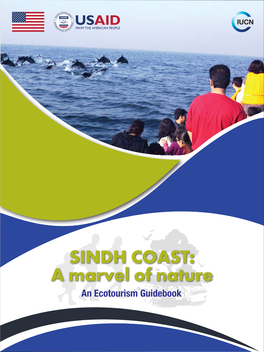 Sindh Coast: a Marvel of Nature