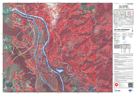 Ptuj, V1 Le Do H O R Area of Interest - Detail01 V E