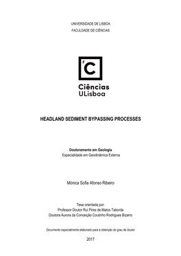 Headland Sediment Bypassing Processes