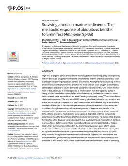 The Metabolic Response of Ubiquitous Benthic Foraminifera (Ammonia Tepida)