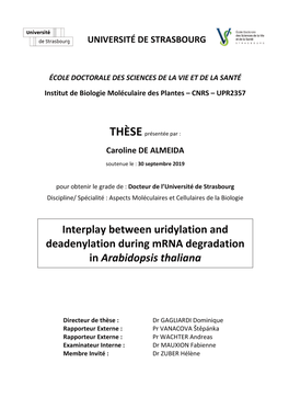 Interplay Between Uridylation and Deadenylation During Mrna Degradation in Arabidopsis Thaliana