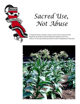 Sacred Use, Not Abuse