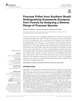 Poaceae Pollen from Southern Brazil: Distinguishing Grasslands (Campos) from Forests by Analyzing a Diverse Range of Poaceae Species