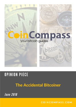 The Accidental Bitcoiner