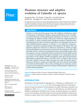 Plastome Structure and Adaptive Evolution of Calanthe S.L. Species