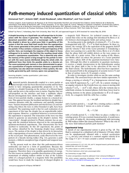 Path-Memory Induced Quantization of Classical Orbits SEE COMMENTARY