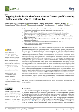 Ongoing Evolution in the Genus Crocus: Diversity of Flowering Strategies on the Way to Hysteranthy
