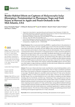 Border Habitat Effects on Captures of Halyomorpha Halys