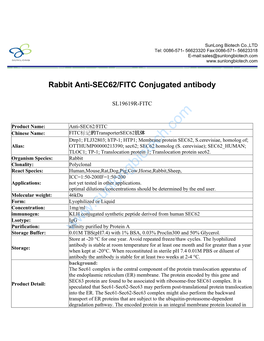 Rabbit Anti-SEC62/FITC Conjugated Antibody-SL19619R-FITC