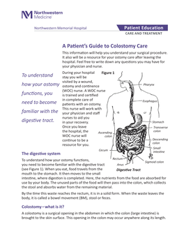 A Patient's Guide to Colostomy Care