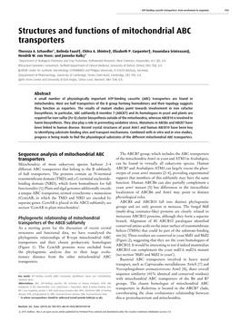 Structures and Functions of Mitochondrial ABC Transporters