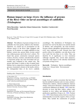 The Influence of Groynes of the River Oder on Larval Assemblages Of