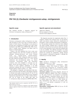 Clavibacter Michiganensis Subsp