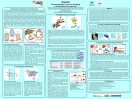 Hepcidin the Key Regulator of Iron in the Blood St