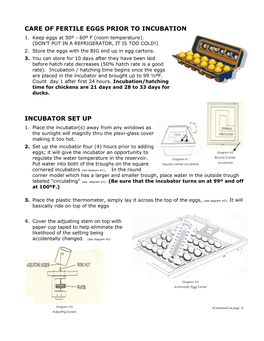 Care of Fertile Eggs Prior to Incubation 1