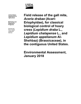 Field Release of the Gall Mite, Aceria Drabae