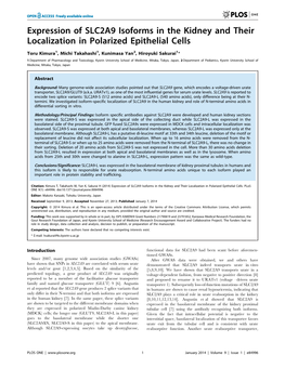 Expression of SLC2A9 Isoforms in the Kidney and Their Localization in Polarized Epithelial Cells