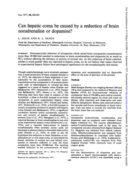 Can Hepatic Coma Be Caused by a Reduction of Brain Noradrenaline Or Dopamine?